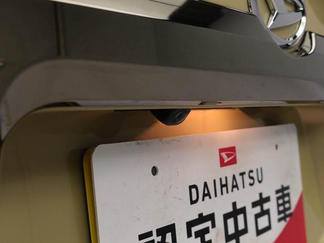 タフト Ｇ　ダーククロムベンチャー　ワンオーナー　ＬＥＤライト　誤発信抑制装置　衝突回避支援ブレーキ　プッシュスタート　スマートキー（3枚目）