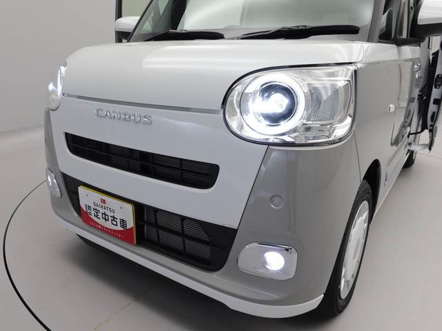 ムーヴキャンバス ストライプスＧ（33枚目）