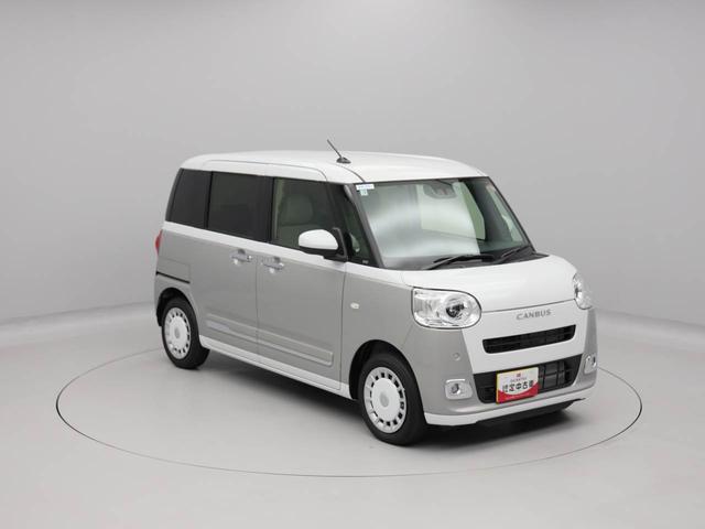 ムーヴキャンバス ストライプスＧ（45枚目）