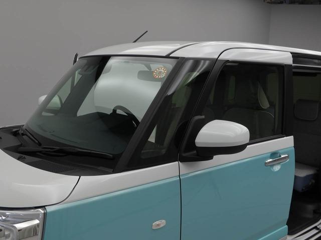 ムーヴキャンバス ストライプスＧ（35枚目）