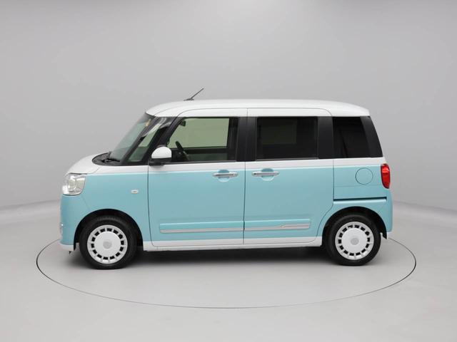 ムーヴキャンバス ストライプスＧ（40枚目）