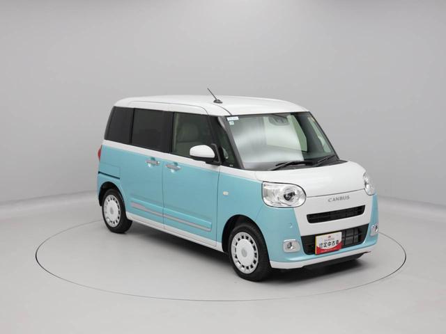 ムーヴキャンバス ストライプスＧ（45枚目）