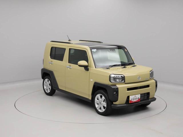 タフト Ｇ（45枚目）