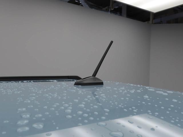 タフト G バックカメラ LEDヘッドライト バックカメラ LEDヘッドライト キーフリー イモビライザー アイドリングストップ アルミホイール LEDヘッドライト ワンオーナー 禁煙車(34枚目)