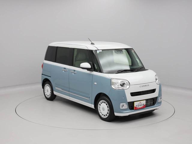 ムーヴキャンバス ストライプスＧ（45枚目）