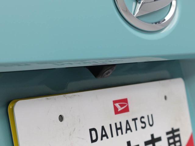 ムーヴキャンバス Ｘリミテッドメイクアップ　ＳＡＩＩＩ（3枚目）