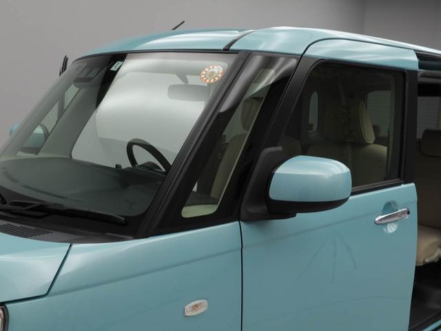 ムーヴキャンバス Ｘリミテッドメイクアップ　ＳＡＩＩＩ（34枚目）