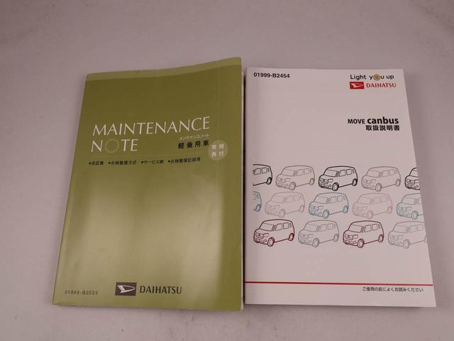 ムーヴキャンバス Ｘリミテッドメイクアップ　ＳＡＩＩＩ（38枚目）