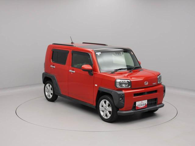 タフト Ｇ（49枚目）