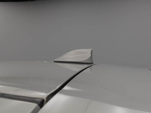 ロッキー プレミアムＧ　ＨＥＶ（39枚目）