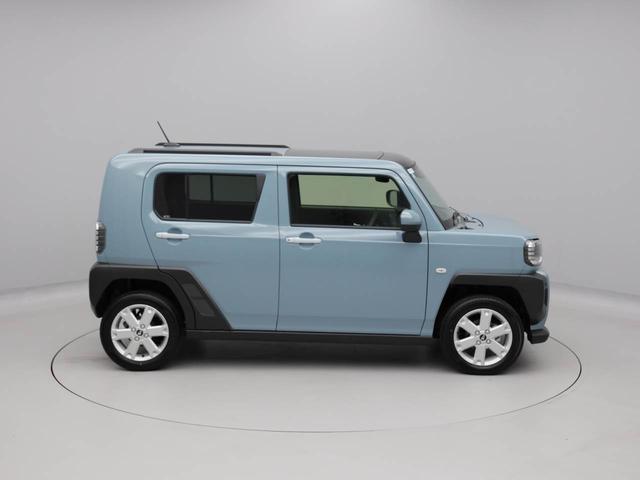 タフト Ｇ（46枚目）