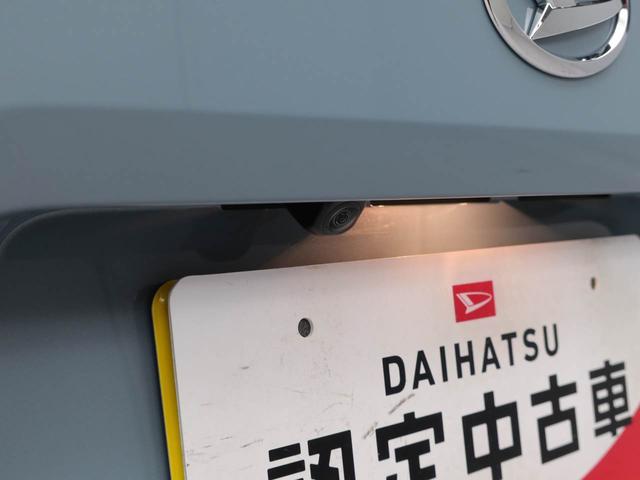 タフト G(3枚目)