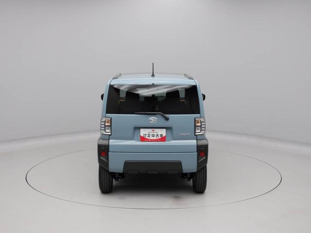 タフト G(41枚目)