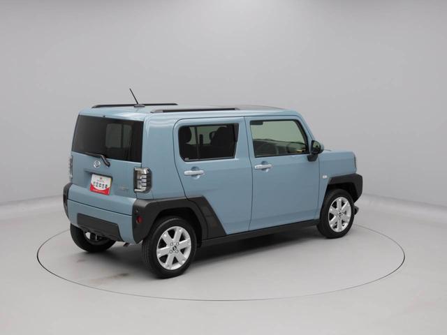 タフト G(42枚目)