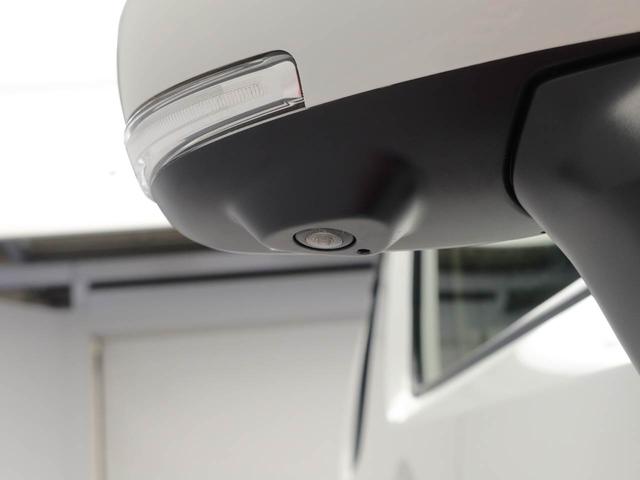 �p�m���}�J�����t��