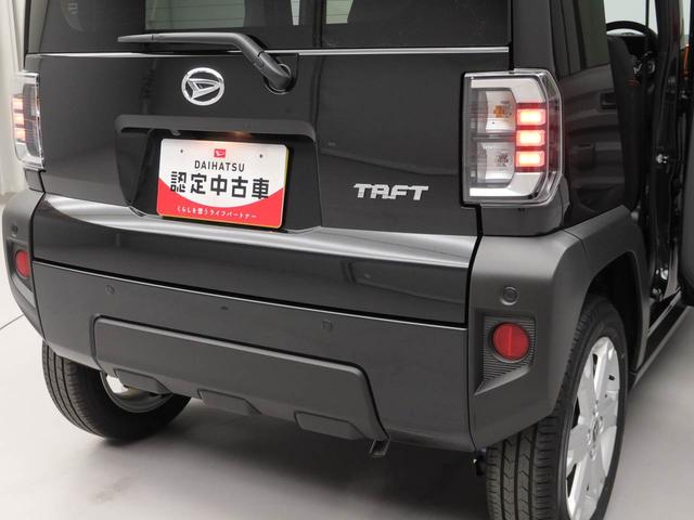 タフト G(16枚目)