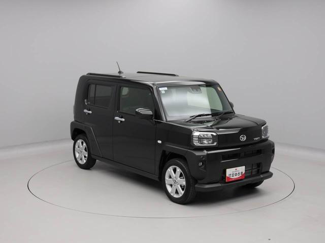 タフト G(45枚目)