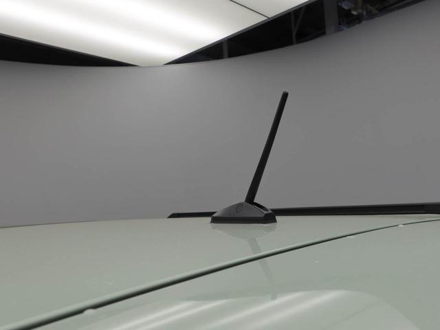 タフト Ｇ　キーフリー　ＬＥＤヘッドライト　衝突軽減装備（33枚目）