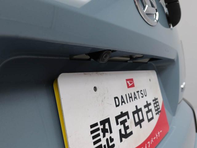 タフト G(3枚目)