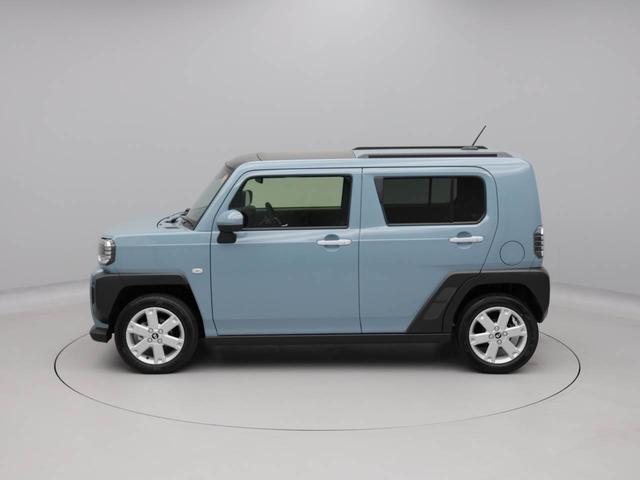 タフト G(41枚目)