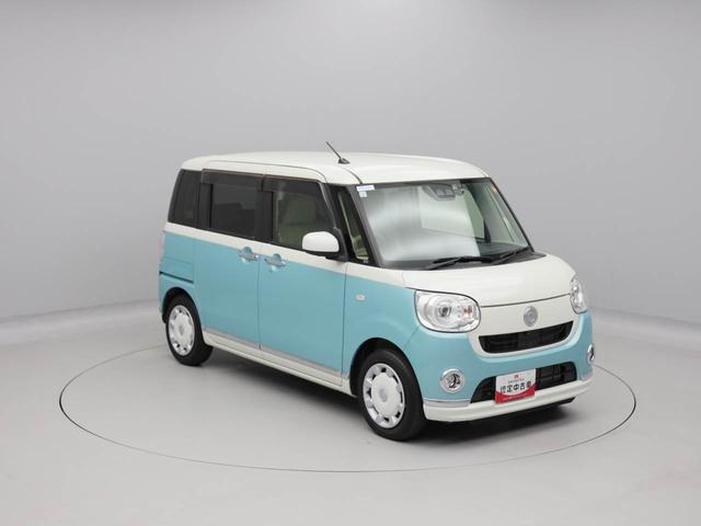 ムーヴキャンバス Ｇメイクアップリミテッド　ＳＡＩＩＩ（51枚目）