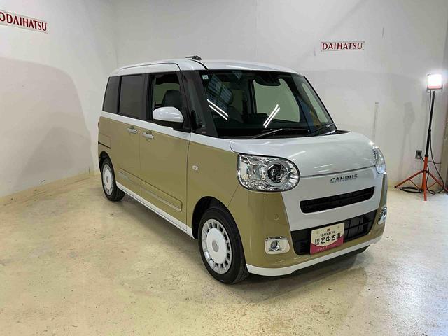 ムーヴキャンバス ストライプスＧ　届出済未使用車　スマートアシスト　届出済未使用車　スマートアシスト　バックカメラ　プッシュボタンエンジンスタート　両側リヤパワースライドドア　ＬＥＤヘッドライト　コーナーセンサー　シートヒーター　オートエアコン　オートライト　ＡＢＳ（30枚目）