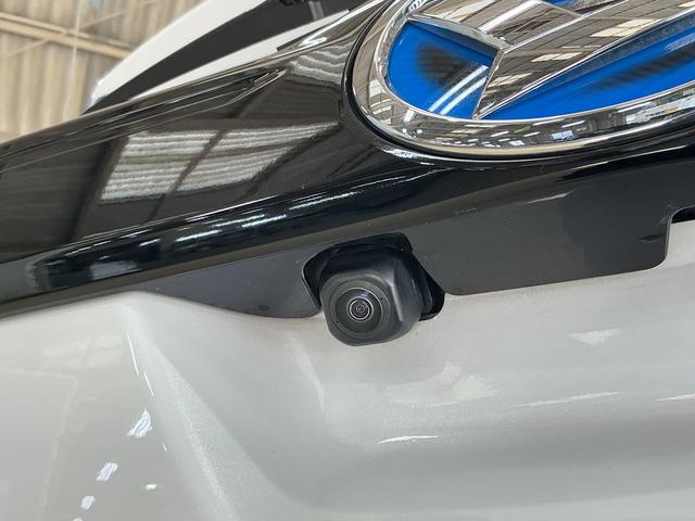 ���N���N����悤�ȃJ�[���C�t���A���̈�䂩��n�܂�܂��B