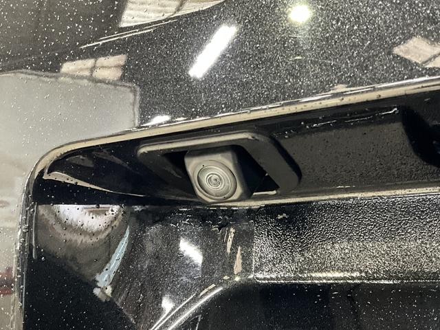 �ʐ^�����ċC�ɂȂ������A�����`�����X�ł��I