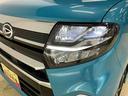 写真を見て気になった方、今がチャンスです!