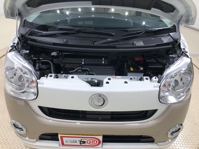 Xメイクアップリミテッド SAIII パノラマモニター(40枚目)