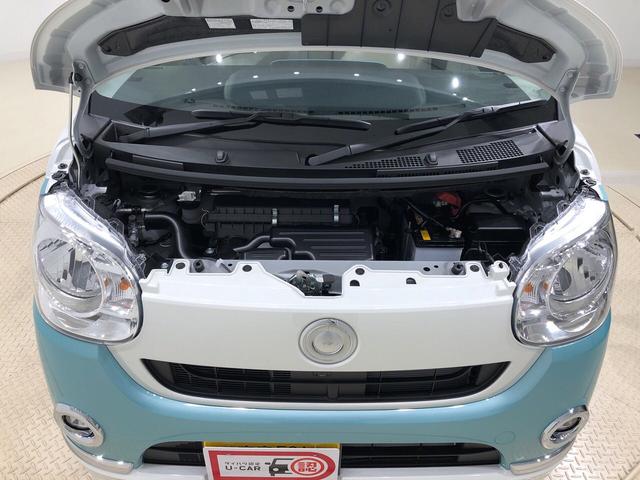 Xメイクアップリミテッド SAIII パノラマモニター付き(40枚目)