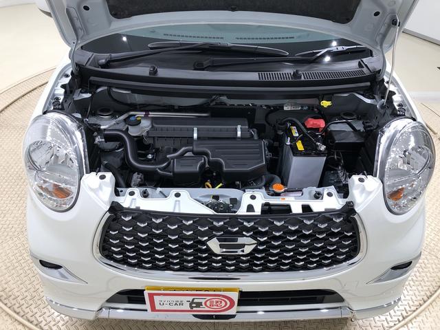 スタイルX リミテッド SAIII バックカメラ対応(40枚目)