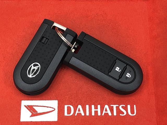 スタイルX リミテッド SAIII バックカメラ対応(46枚目)