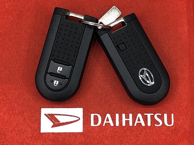 スタイルX リミテッド SAIII バックカメラ(46枚目)