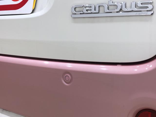 Xメイクアップリミテッド SAIII パノラマ対応カメラ(31枚目)