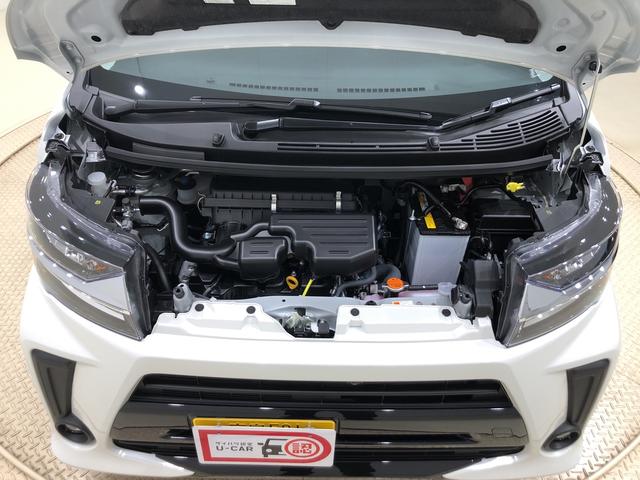 カスタム XリミテッドII SAIII パノラマ対応 LED(38枚目)