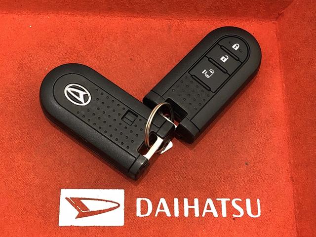 カスタムX トップエディションSAII オートライト プッシュボタンスタート オート格納機能付きミラー シートリフター オートエアコン LEDヘッドライト ボックス付きセンターアームレスト(46枚目)