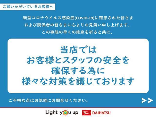 ウエルカムシート CDチューナー キーレスエントリー 助手席乗降シート 助手席側パワースライドドア マニュアルエアコンキーレスエントリー CDチューナー セキュリティアラーム電動格納式ドアミラー(40枚目)