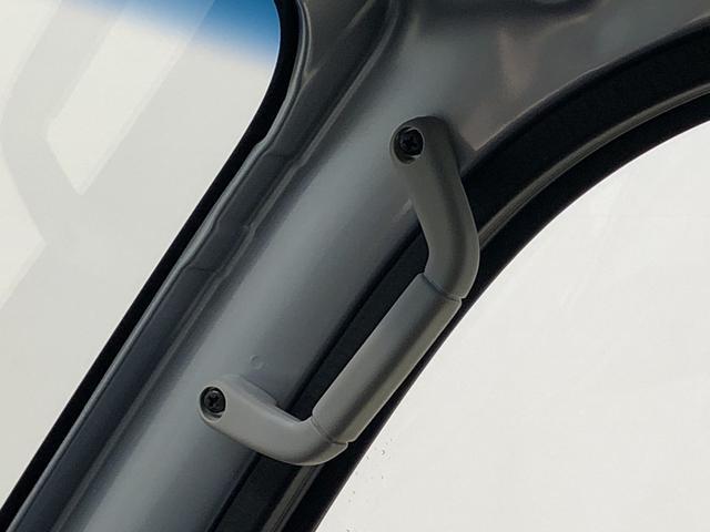 ５速マニュアル　マルチユーティリティフック　スペアタイヤ　ハロゲンヘッドランプ　トップシェイドガラス　運転席バニティミラー　サビ長期保証　ＡＭ・ＦＭラジオ　サイドアンダーミラー　ガードフレーム　スチールホイール(21枚目)