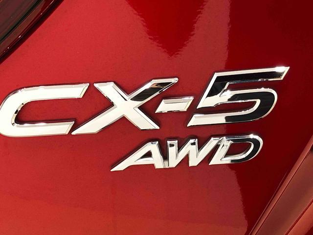 ２５Ｓ　４ＷＤ　ドライブレコーダー　ＥＴＣ車載器　オートエアコン　プッシュボタンスタート　電動格納式ドアミラー　オートライト　ミラー付きサンバイザー　運転席シートリフター　電動パーキングブレーキ　アルミホイール(41枚目)