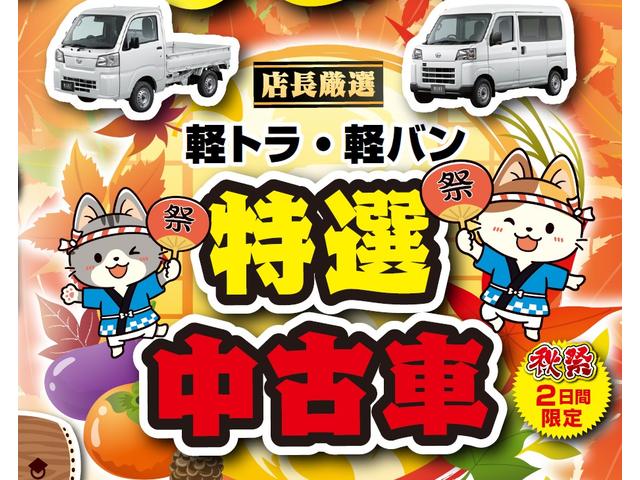 ハイゼットトラック スタンダード ハロゲンヘッドランプ 運転席SRSエアバック 電動式パワーステアリング AM/FMラジオ スペアタイヤ ガードフレーム(2枚目)