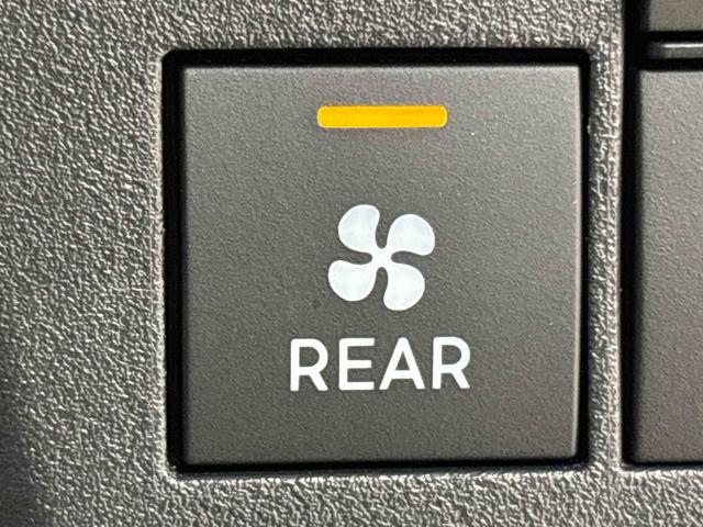 ハイゼットカーゴ DX 4WD AM・FMラジオ マニュアルエアコン ハロゲンヘッドランプ キーレスエントリー オーバーヘッドシェルフ 荷室ランプ AM・FMラジオ テンパータイヤ スチールホイール マニュアルエアコン(16枚目)