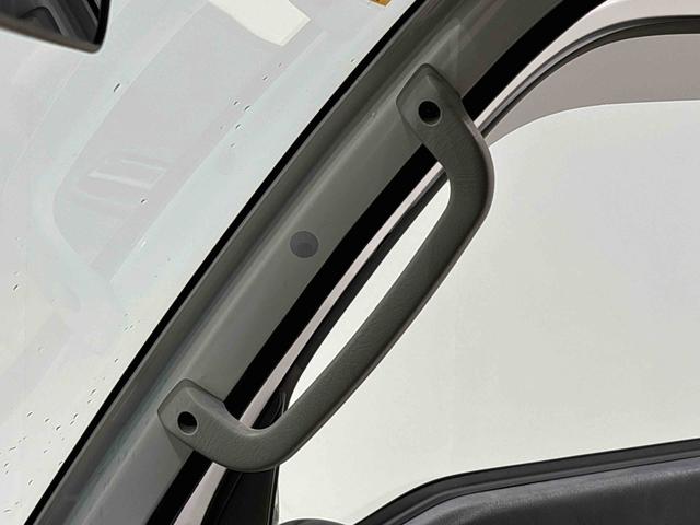 ハイゼットトラック EXT ハロゲンヘッドランプ  AM・FMラジオ マニュアルエアコン ガードフレーム スペアタイヤ(32枚目)