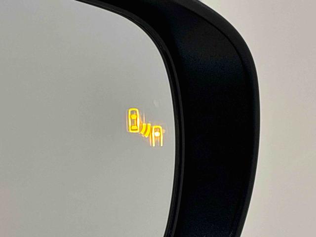 ロッキー プレミアム　ナビ　ＥＴＣ　ドラレコ　バックカメラ　ＬＥＤヘッドランプ・フォグランプ　全車速追従機能付アダプティブクルーズコントロール　レーンキープコントロール　ブラインドスポットモニター　１７インチアルミホイール　シートヒーター　パノラマモニター（52枚目）