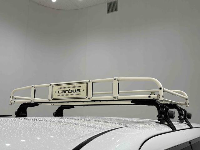 ムーヴキャンバス Xメイクアップ SAII 純正キャリア付き(48枚目)