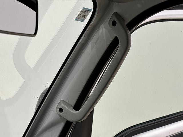 ハイゼットトラック ジャンボエクストラ　プッシュボタンスタート　パワーウインドー　電動格納式ドアミラー　ガードフレーム　格納式テールゲートチェーン　ＬＥＤへッドランプ　ＬＥＤフォグランプ　スペアタイヤ（27枚目）