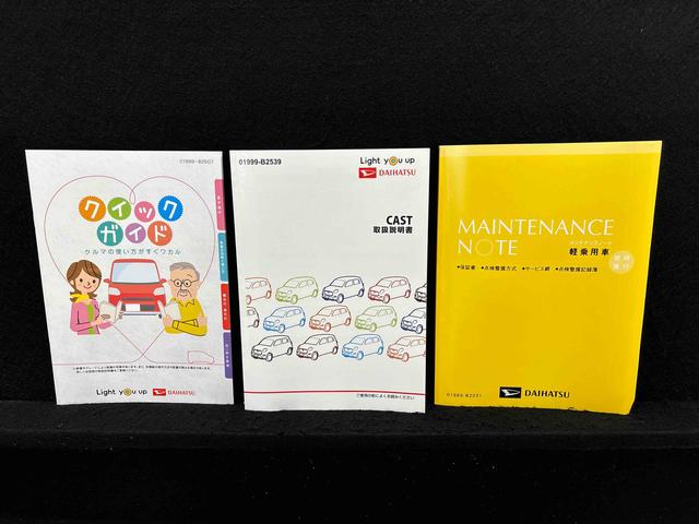 キャスト スタイルG ターボ プライムコレクション SAIII(52枚目)