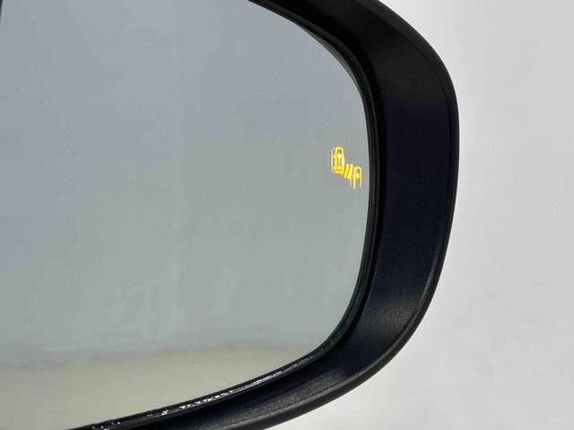 ロッキー プレミアム（11枚目）