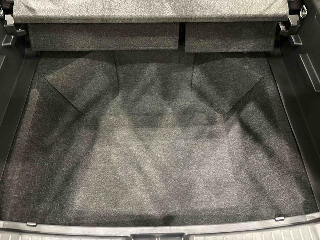 ロッキー プレミアム（41枚目）