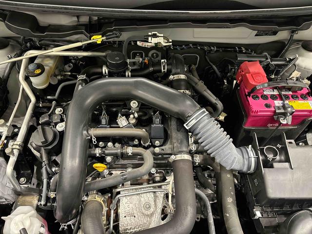 ロッキー プレミアム（44枚目）